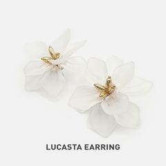 LUCASTA Hoa tai