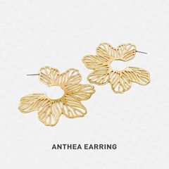 ANTHEA / MEDY Bản phối