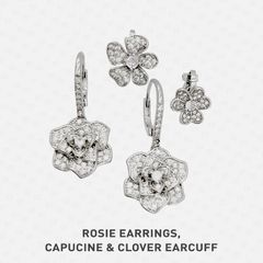 CLOVER / CAPUCINE / ROSIE Bản phối