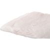 Cá Bơn Fillet Halibut Canada (1KG)