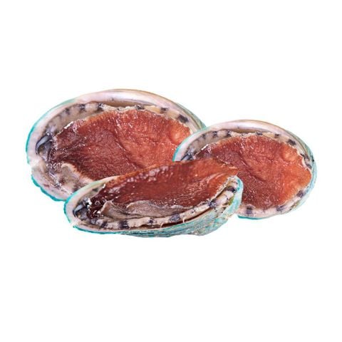 Bào ngư Jade Tiger Úc (vỉ 3con)