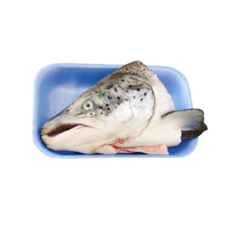 Đầu cá hồi Nauy