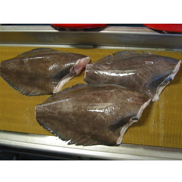 Cá Halibut Canada (Xuất xứ Canada) BSDELI