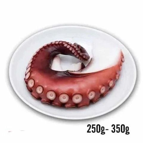 Bạch tuộc râu sashimi (250-350gr)