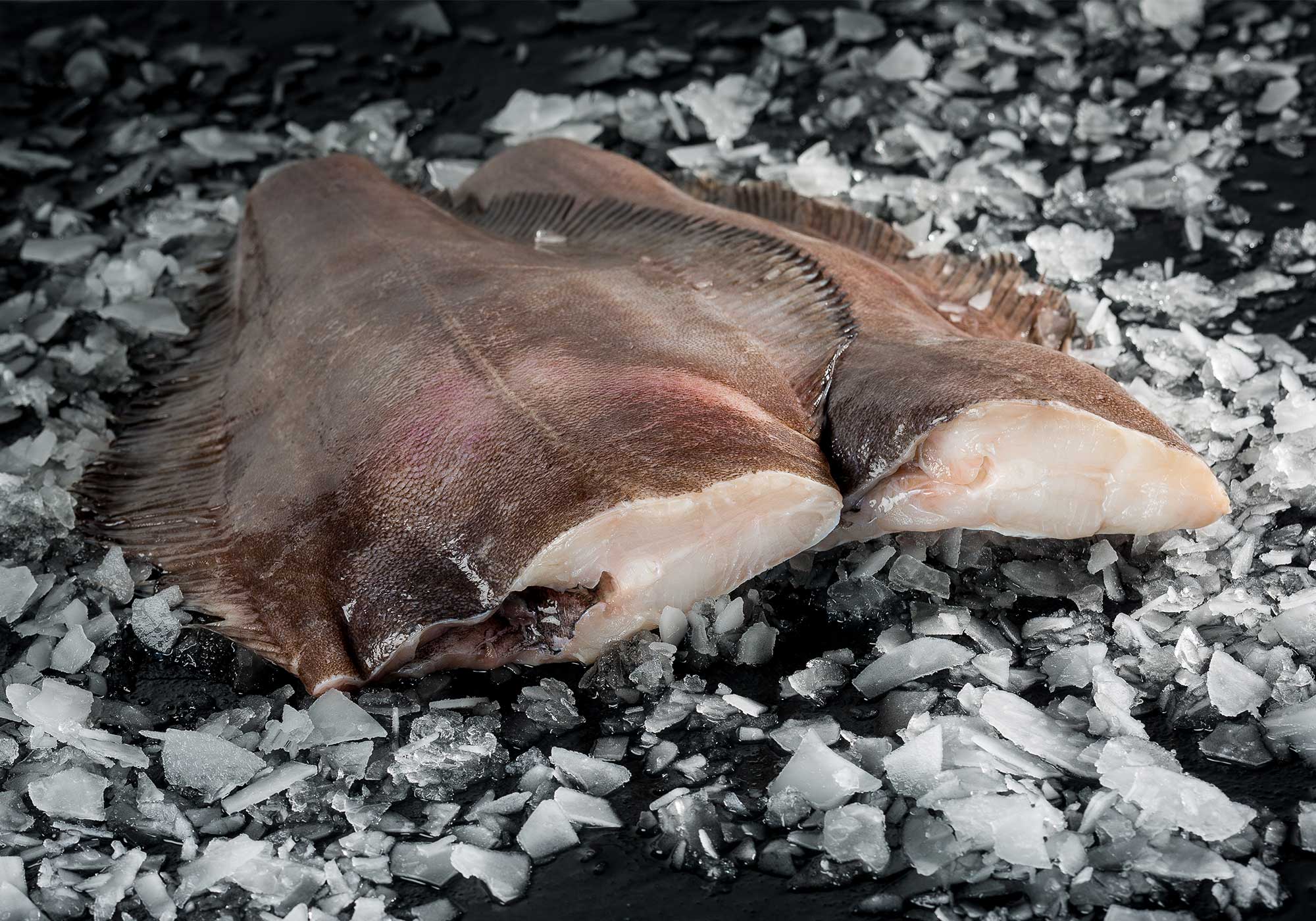 Cá Halibut Canada (Xuất xứ Canada) BSDELI