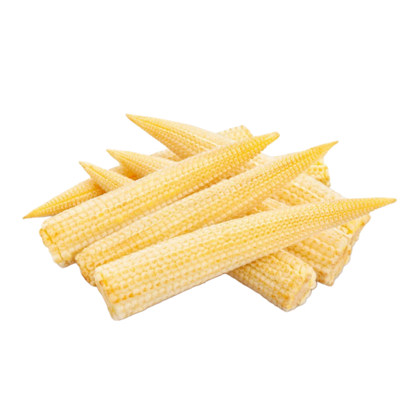 Baby Corn Vinh Agriculture