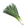 Baro Onion