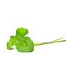 Pennywort