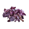 Purple basil