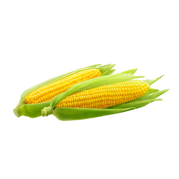 Sweet Corn