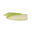 White Corn