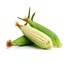 White Corn