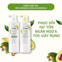 Dầu gội phục hồi hư tổn chiết xuất bơ & dầu argan Dove Botanical Selection (500g)