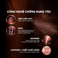 Loreal Dầu gội Full Resist Purifying Shampoo 440ml