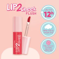 Silkygirl Son kem lì Lip2check Flush 3.8ml