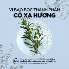 Cavailles Dung dịch vệ sinh phụ nữ L'intime 250ml