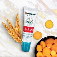 Son dưỡng môi Himalaya Lip Balm (10g)