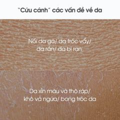Asnami Sữa dưỡng thể Moisture Body Milk 240ml