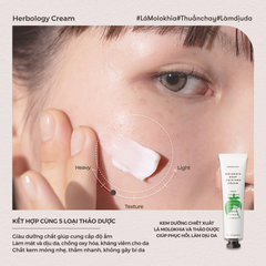 Nature Republic Kem dưỡng da mặt Herbology Molokhia Deep Moisture Cream 70ml