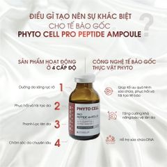 Kyung Lab Tinh chất Phyto Cell Ampoule 20ml