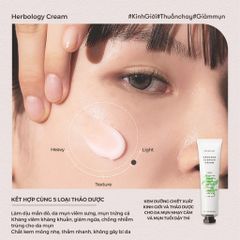 Nature Republic Kem dưỡng da mặt Herbology Oregano Blemish Cream 70ml