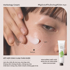 Nature Republic Kem dưỡng da mặt Herbology Artemisia Extra Soothing Cream 70ml