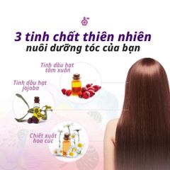 Kerasys Dầu gội Perfumed Elegance Amber Shampoo 600ml