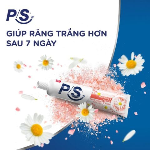 P/S Kem đánh răng Muối Hồng & Hoa Cúc 230g