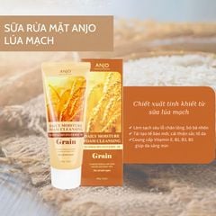 ANJO Sữa Rửa Mặt Professional Daily Moisture Foam Cleansing 100g