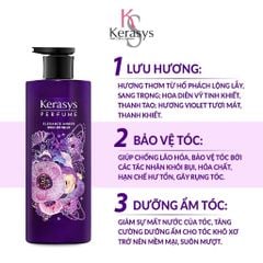 Kerasys Dầu gội Perfumed Elegance Amber Shampoo 600ml