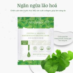 Viaggio Mặt nạ Dưỡng ẩm Centella Asiatica Soothing & Hydrating Mask 30ml