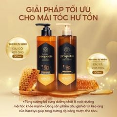 Aekyung Kerasys Dầu gội Royal Propolis Original Shampoo 500ml