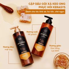 Aekyung Kerasys Dầu gội Royal Propolis Original Shampoo 500ml