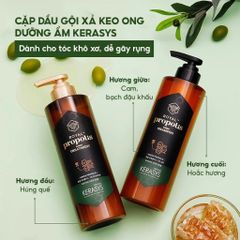 Aekyung Kerasys Dầu gội Royal Propolis Green Shampoo 500ml