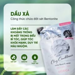 Biorica Dầu xả đất sét Clay Conditioner dạng túi 360ml