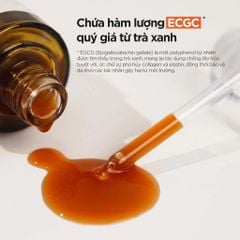 Isntree Tinh Chất Green Tea Fresh Serum 50ml