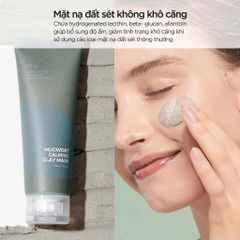 Isntree Mặt Nạ Mugwort Calming Clay Mask 100ml