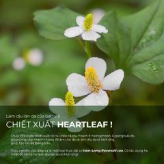 Neogen Kem dưỡng Dermalogy Real Heartleaf Soothing Cream 80g