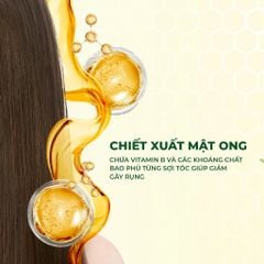 Nara Dầu gội Khuynh diệp trà xanh
