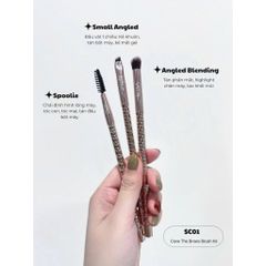 Vacosi Bộ Kit 3 Cọ Chân Mày Phiên Bản Golden Dragon Cove The Brows Brush Kit_Sc01