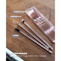 Vacosi Bộ Kit 3 Cọ Chân Mày Phiên Bản Golden Dragon Cove The Brows Brush Kit_Sc01