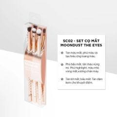 Vacosi Bộ Kit 3 Cọ Mắt Phiên Bản Golden Dragon Moondust The Eyes Brush Kit_ Sc02