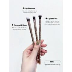 Vacosi Bộ Kit 3 Cọ Mắt Phiên Bản Golden Dragon Moondust The Eyes Brush Kit_ Sc02