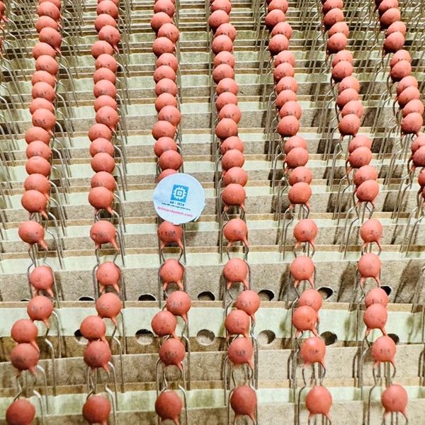 TÚI 10 Chiếc Tụ gốm 103 103pF 10nF 100V hàng chính hãng