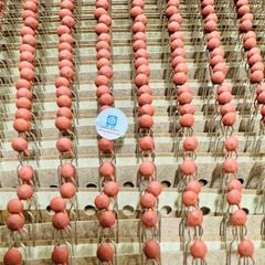 TÚI 10 Chiếc Tụ gốm 103 103pF 10nF 100V hàng chính hãng