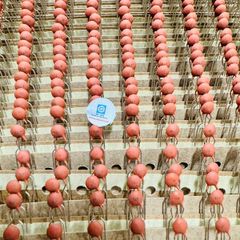 TÚI 10 CHIẾC Tụ gốm 22 22pF 100V hàng chính hãng