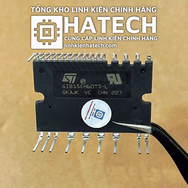 Linh Kiện Chuẩn Hãng IC Công Suất GIB15CH60TS-L GIB15CH60TS mới chính hãng