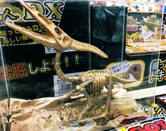 Bộ đồ chơi khảo cổ học - Sưu tập hóa thạch Khủng Long Treasure Hunt Big Torikera hàng chính hãng NOB Nhật Bản
