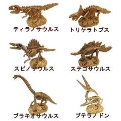 Bộ đồ chơi khảo cổ học - Sưu tập hóa thạch Khủng Long Treasure Hunt Gold hàng chính hãng NOB Nhật Bản