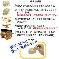 Bộ đồ chơi khảo cổ học - Sưu tập hóa thạch Khủng Long Treasure Hunt Gold hàng chính hãng NOB Nhật Bản